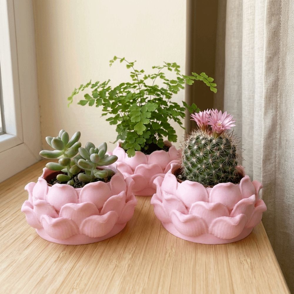 Enclosure 3D Printing - Lotus Shaped Succulent Plant Pot 3D