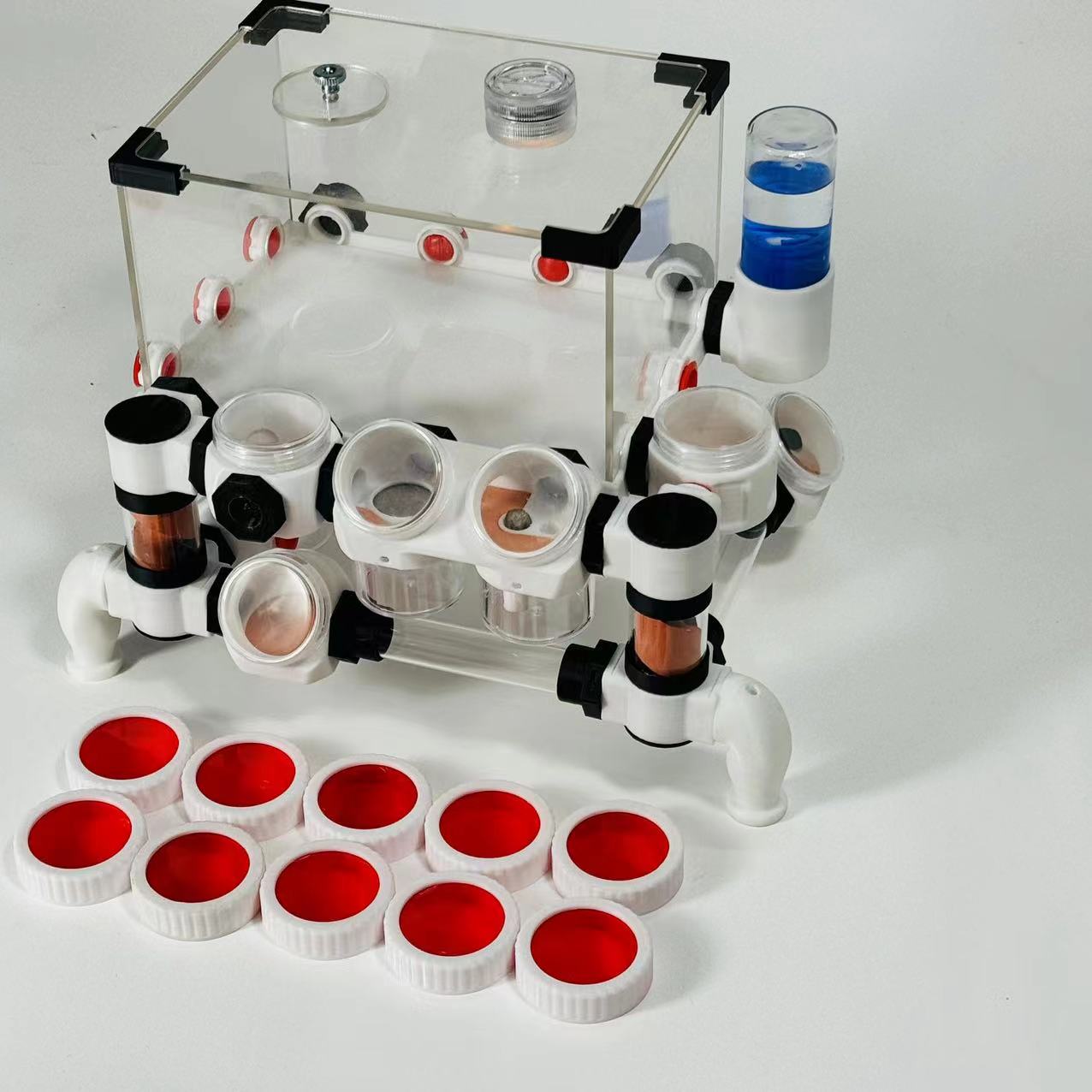 3D Printing Workshop - 3D printing unlimited ant farm,queen breeding