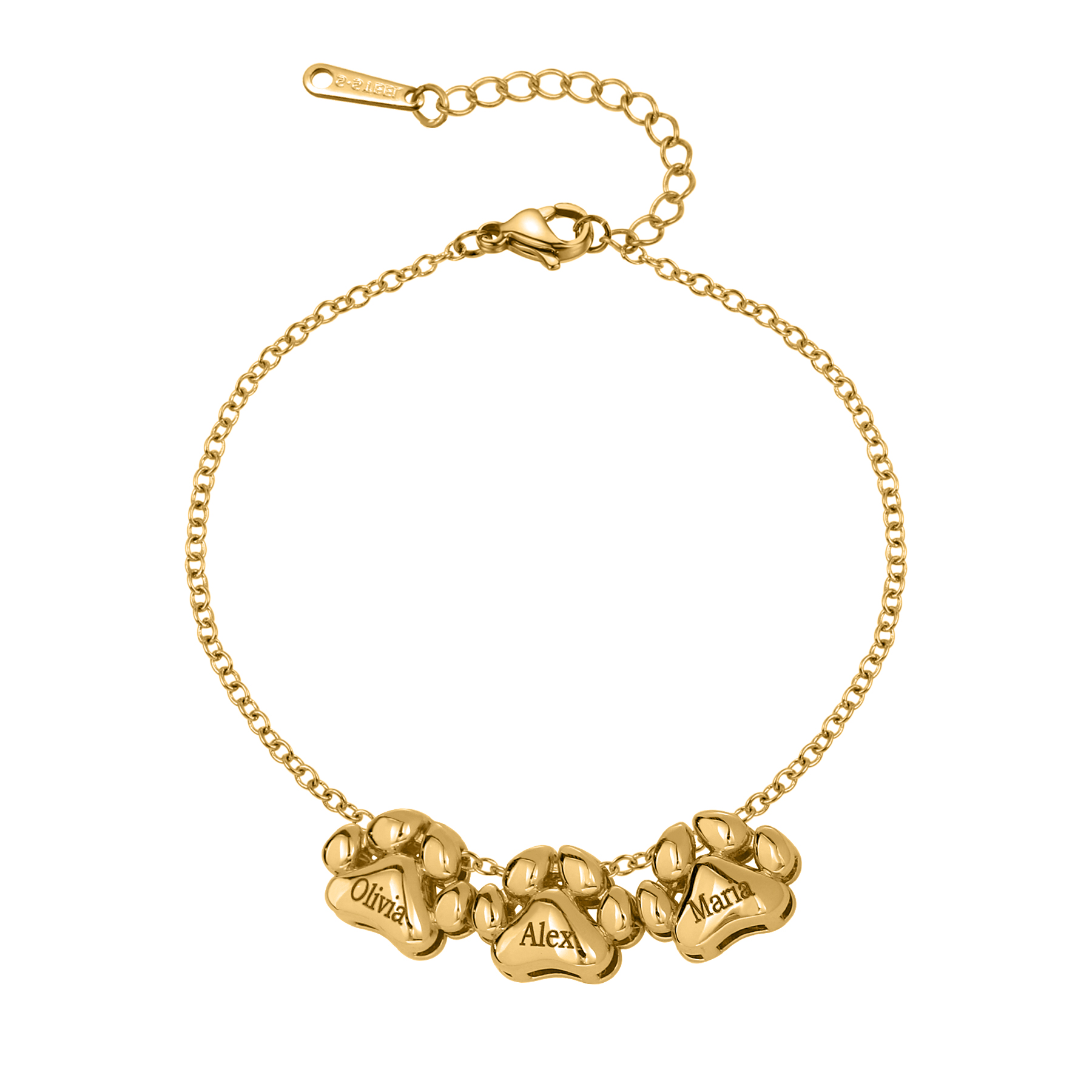 3D Luxury Paw Bracelet Custom  - 3D Printing Link recensie en prijs