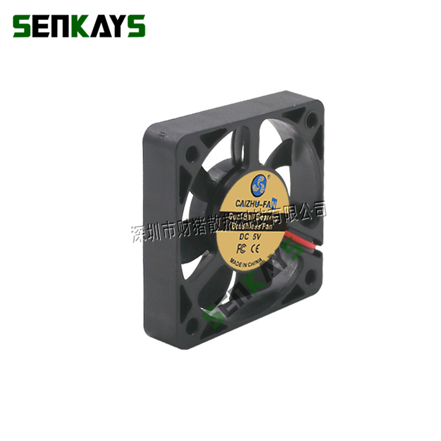 5010 DC 5V 12V 24V Dual Ball B - 3D Printing Machine recensie en prijs