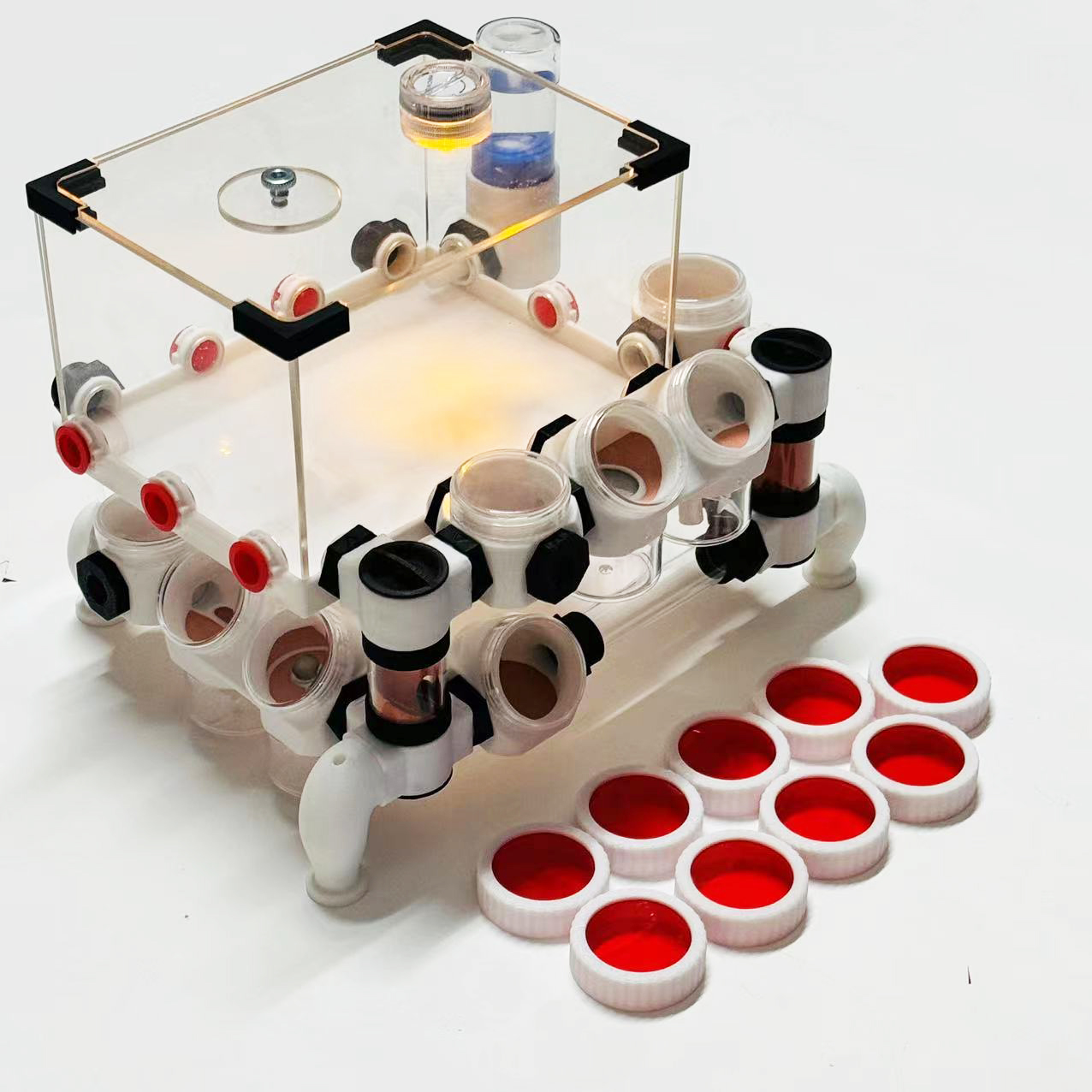3D printing unlimited ant farm - 3D Printing Workshop recensie en prijs