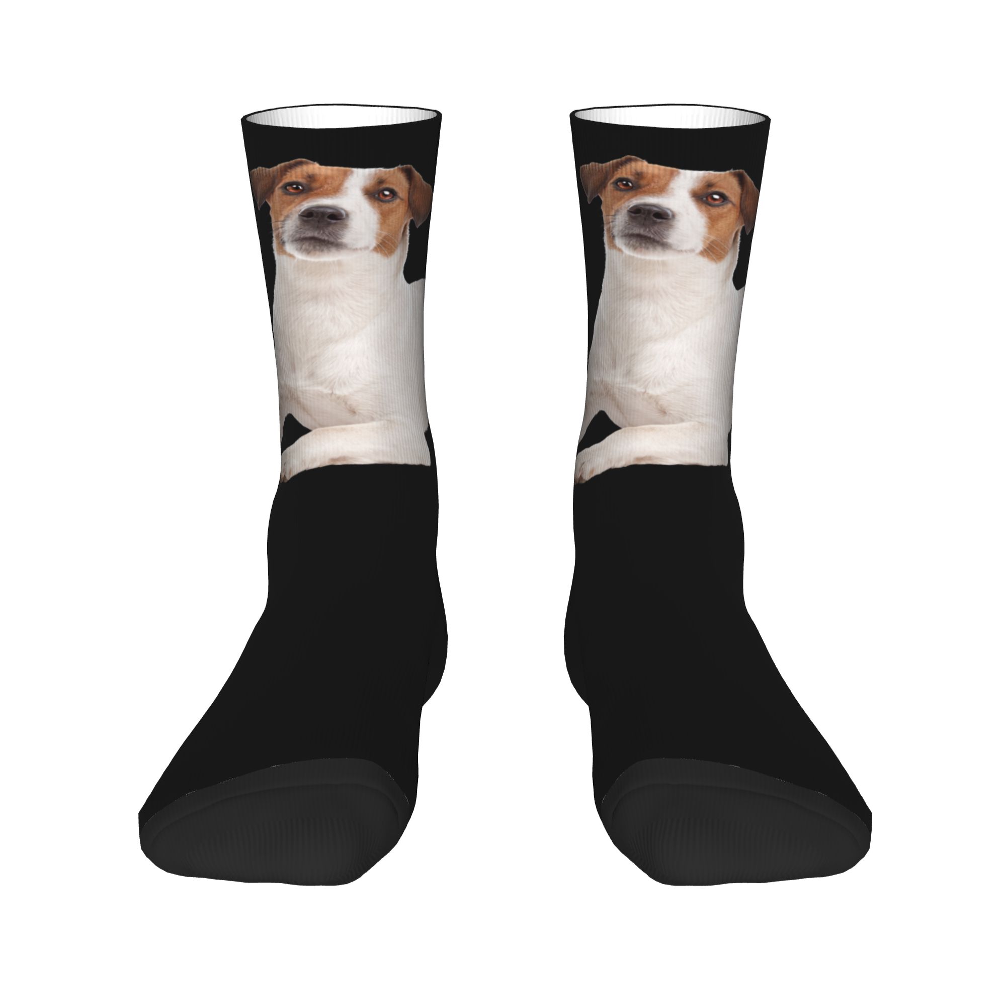 Custom Jack Russell Terrier Do - 3D Printing Youtube recensie en prijs
