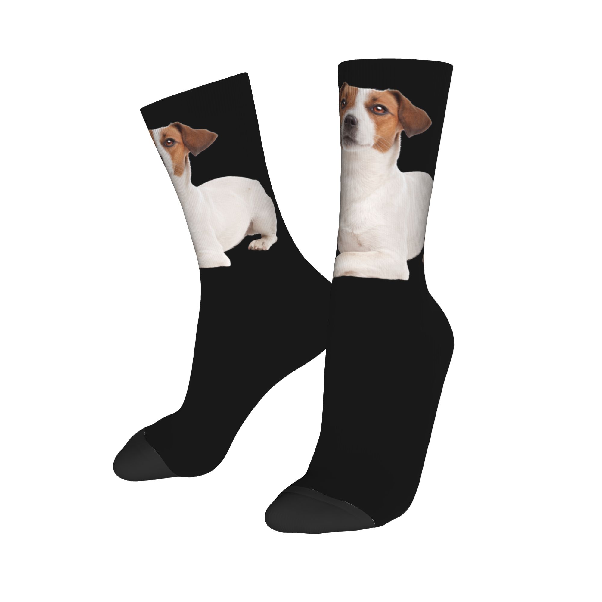 Custom Jack Russell Terrier Do - 3D Printing Youtube recensie en prijs